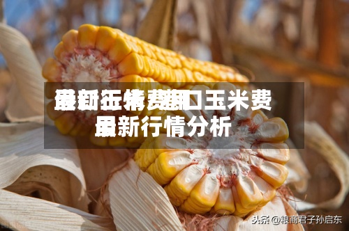 港口玉米费用
最新行情/港口玉米费用
最新行情分析-第2张图片