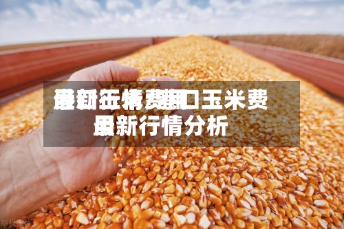 港口玉米费用
最新行情/港口玉米费用
最新行情分析-第3张图片