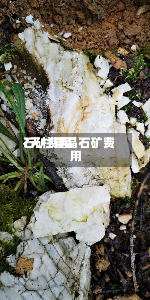 石矿费用/天柱重晶石矿费用