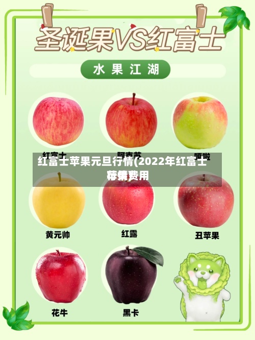 红富士苹果元旦行情(2022年红富士苹果费用行情)-第2张图片
