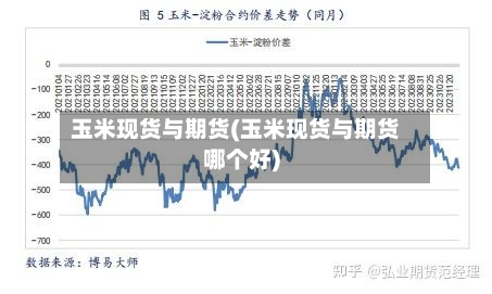玉米现货与期货(玉米现货与期货哪个好)