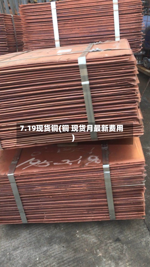 7.19现货铜(铜 现货月最新费用)