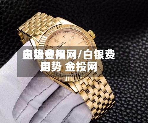 白银费用走势金投网/白银费用走势 金投网-第2张图片