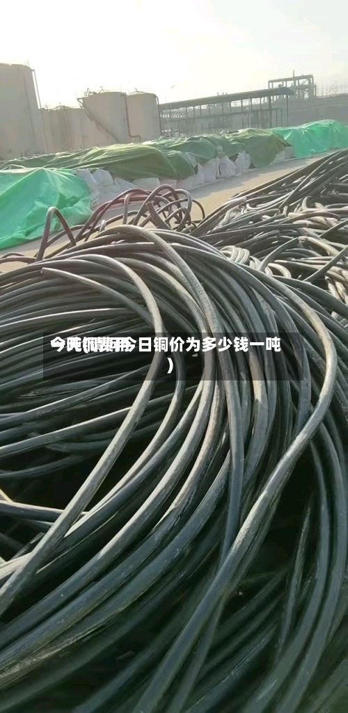 今天铜费用一吨(请问今日铜价为多少钱一吨)-第3张图片