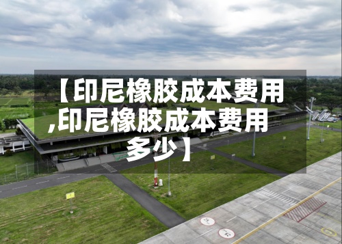 【印尼橡胶成本费用
,印尼橡胶成本费用
多少】-第2张图片
