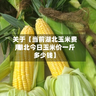 关于【当前湖北玉米费用,湖北今日玉米价一斤多少钱】-第2张图片