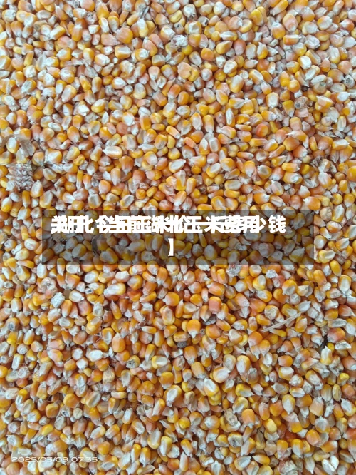 关于【当前湖北玉米费用,湖北今日玉米价一斤多少钱】