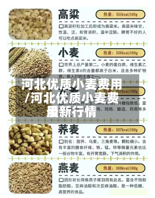 河北优质小麦费用/河北优质小麦费用最新行情-第2张图片