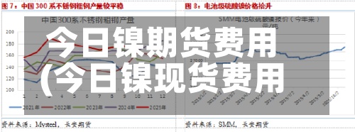 今日镍期货费用(今日镍现货费用行情走势图)