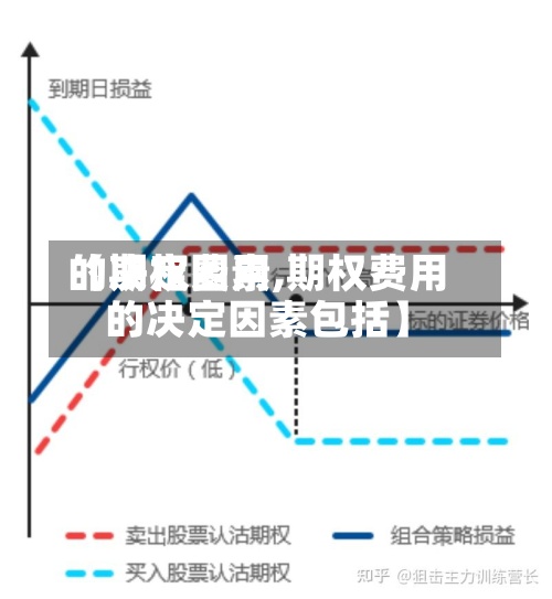 【期权费用的决定因素,期权费用的决定因素包括】