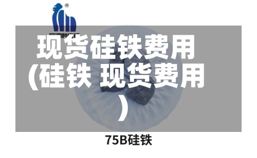 现货硅铁费用(硅铁 现货费用)-第2张图片
