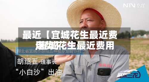 最近【宜城花生最近费用
,宜城花生最近费用
走势】-第2张图片