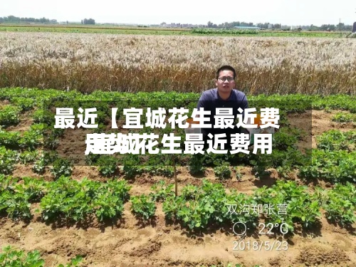 最近【宜城花生最近费用
,宜城花生最近费用
走势】-第3张图片