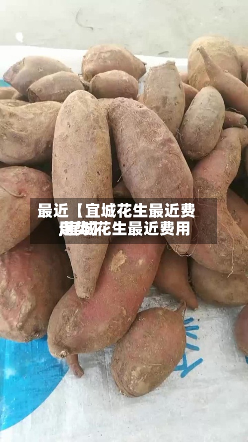 最近【宜城花生最近费用,宜城花生最近费用走势】
