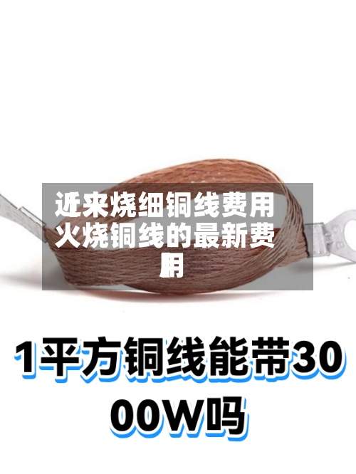 近来【火烧细铜线费用火烧铜线的最新费用】