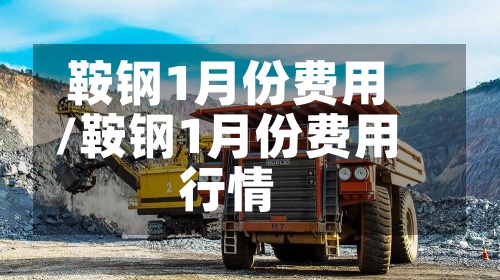 鞍钢1月份费用/鞍钢1月份费用行情