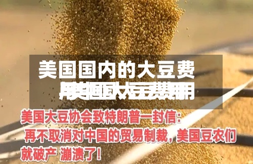 美国国内的大豆费用
/美国大豆费用
与中国大豆费用
-第3张图片