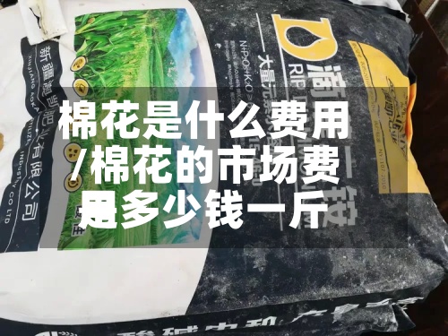 棉花是什么费用/棉花的市场费用是多少钱一斤