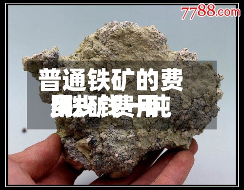 普通铁矿的费用
/铁矿费用
多少钱一吨-第2张图片