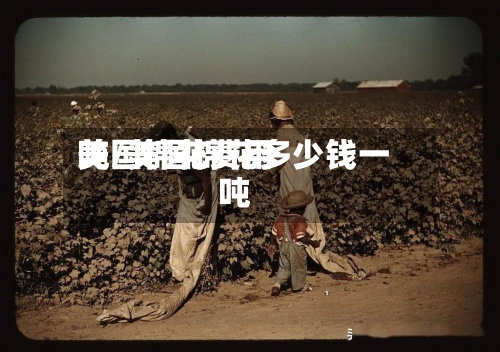 美国棉花费用吨/美国棉花多少钱一吨