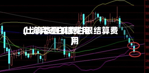 上海完通白银费用(上海华通现货白银结算费用)-第2张图片