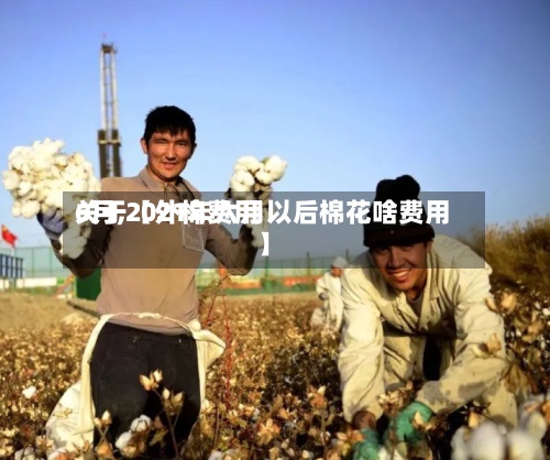 关于【外棉费用6月,2021年六月以后棉花啥费用】-第2张图片