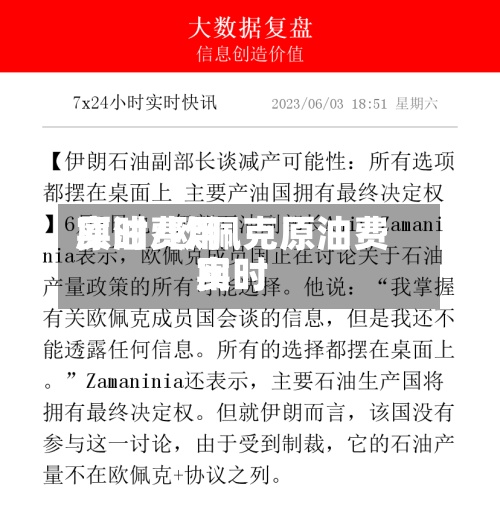 原油费用实时/欧佩克原油费用实时