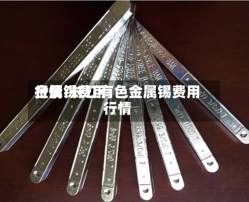 金属锡费用行情/长江有色金属锡费用行情-第2张图片