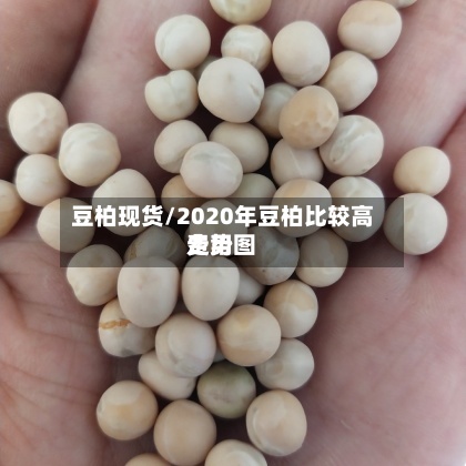 豆柏现货/2020年豆柏比较高费用走势图-第2张图片