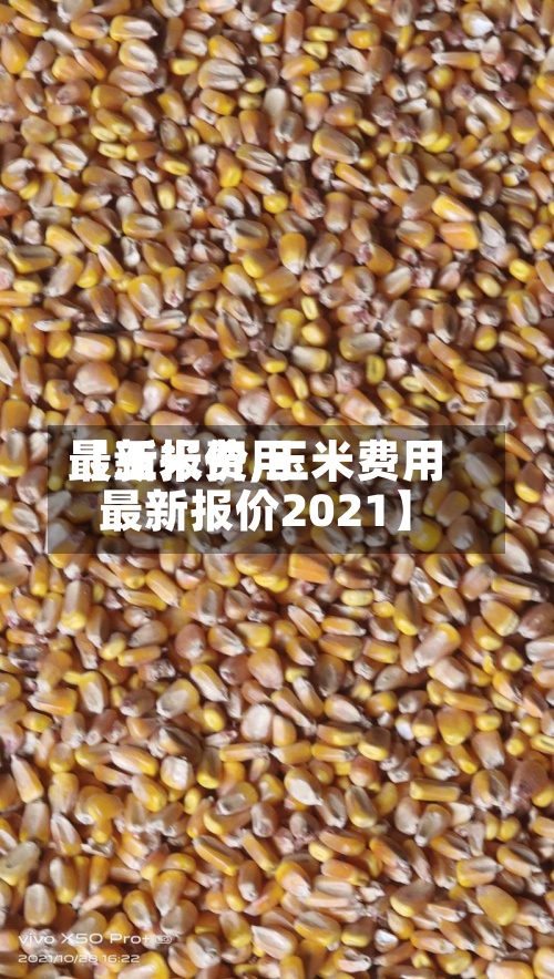 【玉米费用最新报价,玉米费用最新报价2021】