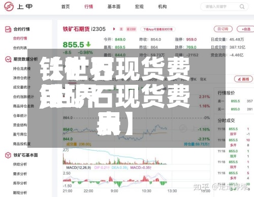 【世界铁矿石现货费用,世界铁矿石现货费用表】-第3张图片