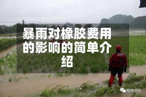 暴雨对橡胶费用
的影响的简单介绍-第2张图片