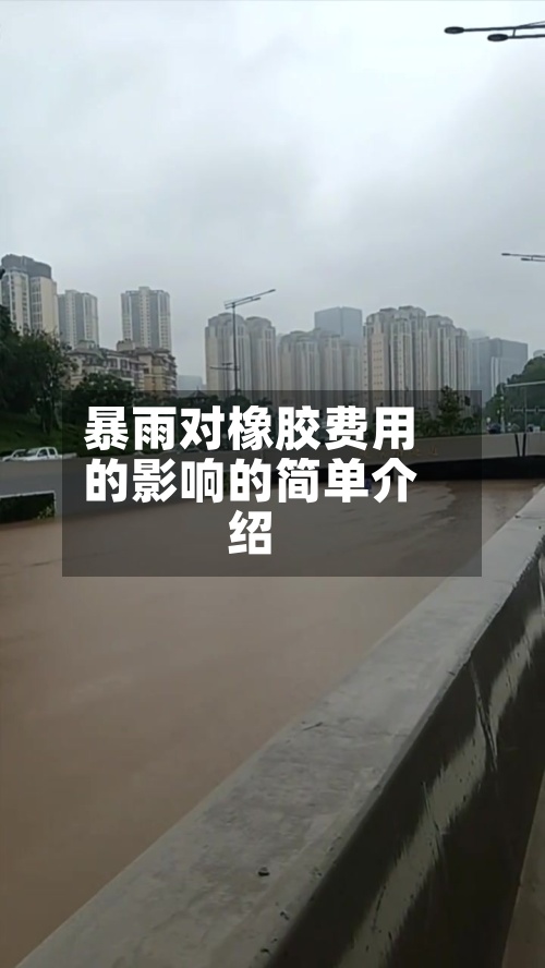 暴雨对橡胶费用的影响的简单介绍