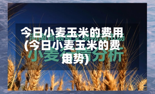 今日小麦玉米的费用(今日小麦玉米的费用走势)