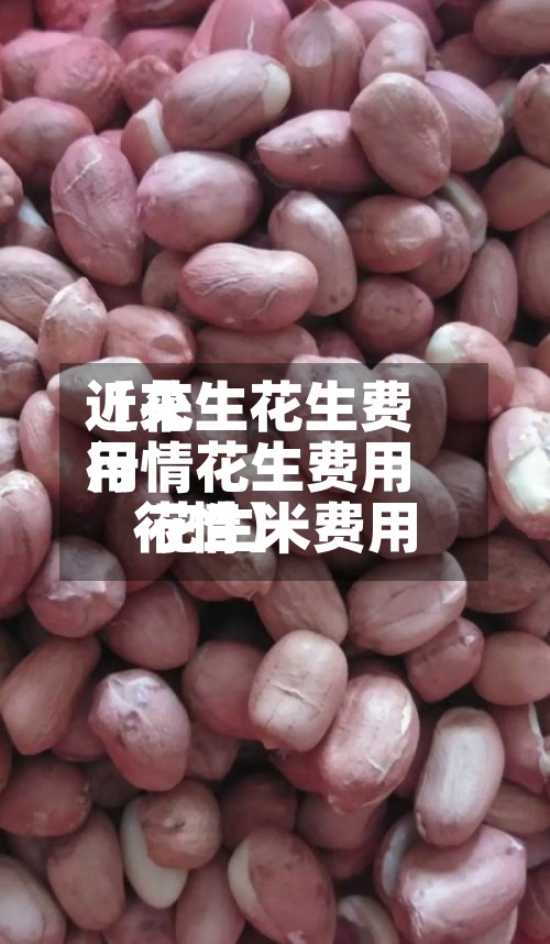 近来【花生花生费用行情花生费用 花生米费用行情】