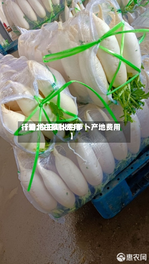 【湖北白萝卜费用行情,今日湖北白萝卜产地费用】