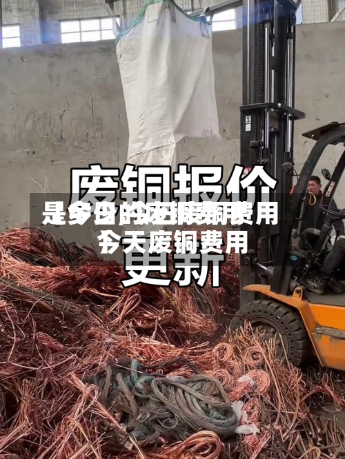 【今日的废铜费用是多少,今日废铜费用今天废铜费用】-第2张图片