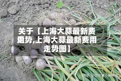 关于【上海大蒜最新费用走势,上海大蒜最新费用走势图】-第2张图片