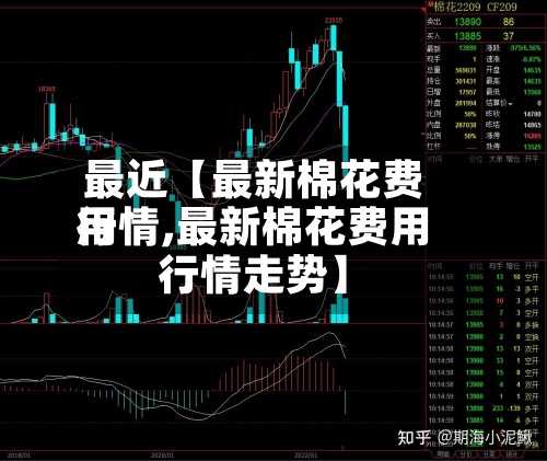 最近【最新棉花费用行情,最新棉花费用行情走势】-第2张图片