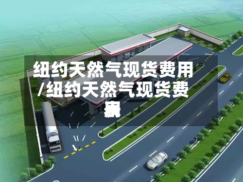 纽约天然气现货费用/纽约天然气现货费用表