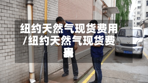 纽约天然气现货费用/纽约天然气现货费用表-第2张图片