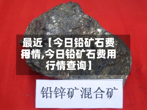 最近【今日铅矿石费用行情,今日铅矿石费用行情查询】