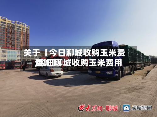 关于【今日聊城收购玉米费用,今日聊城收购玉米费用查询】