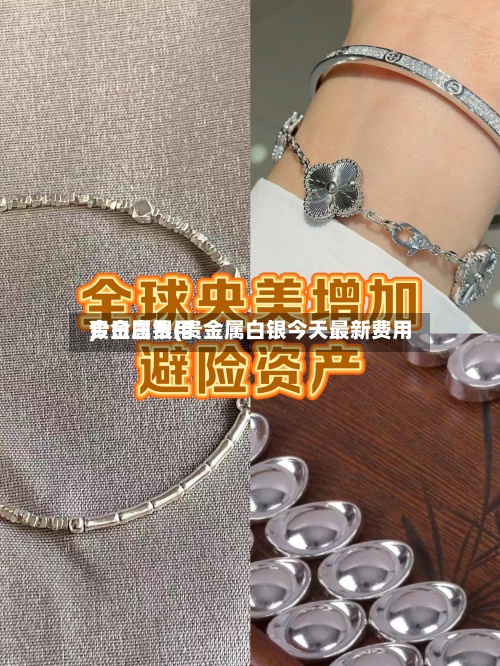 贵金属费用今日白银(贵金属白银今天最新费用)-第2张图片