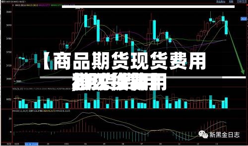 【商品期货现货费用,期货费用和现货费用怎么换算】