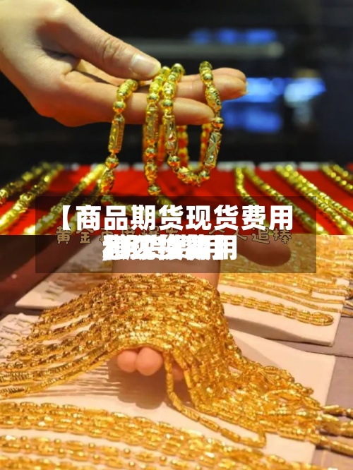 【商品期货现货费用,期货费用和现货费用怎么换算】-第2张图片