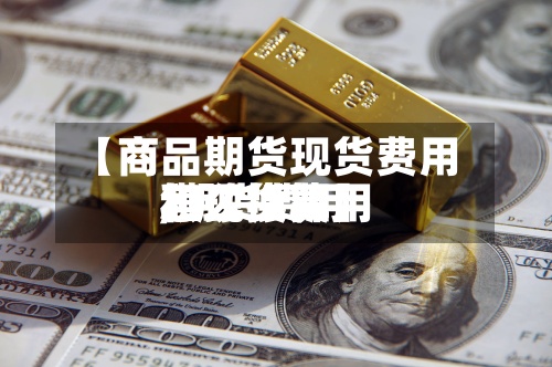 【商品期货现货费用,期货费用和现货费用怎么换算】-第3张图片
