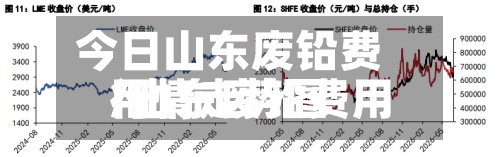 今日山东废铅费用/山东废铅费用行情走势图
