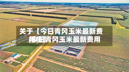 关于【今日青冈玉米最新费用,今日青冈玉米最新费用行情】-第2张图片