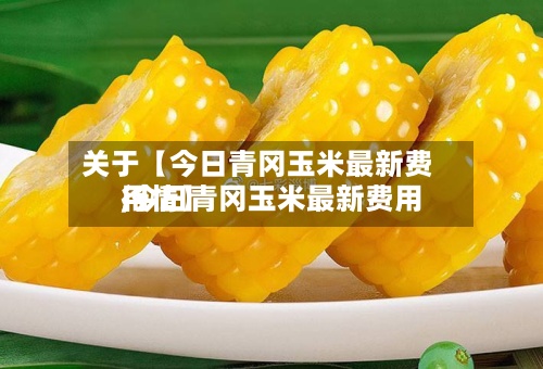 关于【今日青冈玉米最新费用,今日青冈玉米最新费用行情】-第3张图片